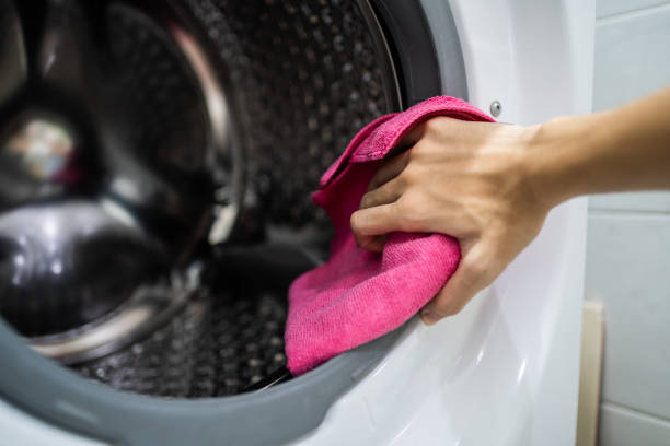 Trusted Port Lavaca, TX Mold Removal Experts