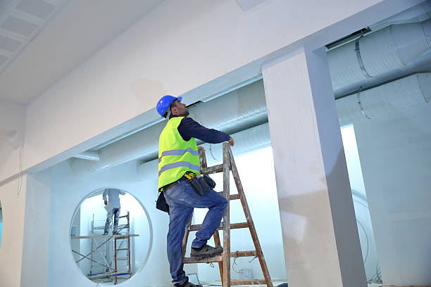 Forensic Mold Investigation in Port Lavaca, TX
